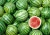 Import Fresh water melon/Fresh Melons/ fresh watermelon for sale from Philippines