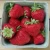 Import Fresh Whole, Diced and Sliced Strawberry Fruits from Germany