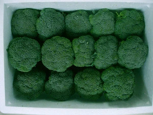 Frozen Broccoli/fresh Broccoli