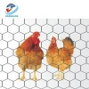 Galvanized and PVC coated hexagonal wire netting chicken wire mesh