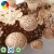 Import GAP Certificated easy cultivated  organic Shiitake /champignon mushroom substrate/block from China