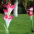 Import Garden Rose Lily flower Solar Lights Outdoor Stake Lights from China