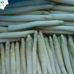Good Price Frozen Fresh Asparagus White
