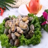 good quality fresh frozen clean baby clam shellfish seafood vacuumed bag