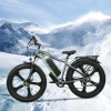 Guaranteed Quality 250W 1000w 30-50Km/h off-road dirt e bike 26in fat tire mountain bicycle full suspension electric bike