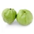 Import GUAVA BEST QUALITY MADE IN VIETNAM EXPORT from Vietnam