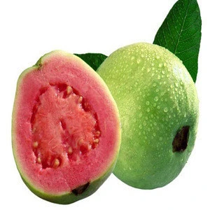 Guava Delicious
