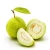 Import Guavas from India