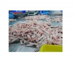 Halal Frozen Chicken Feet and Chicken Paws