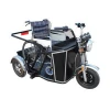 Handicapped tricycles disabled for adults/handicapped tricycle motorcycle