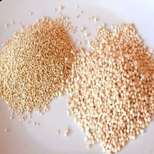 healthy grain organic quinoa with chaff