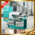 High Efficiency Grape Seed Oil Press Machine Commercial Oil Press Machine For Sale