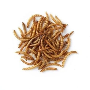 High Protein Dried Mealworms For Pet Feed