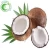 Import High Quality 100% Pure Natural Dried Coconut Oil Powder Plant Extract from China
