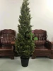 High quality decoration topiary plants artificial thuja bonsai/artificial cypress tree