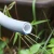 High Quality Flexible PVC Garden Water Hose Agriculture Irrigation Hose Of  For Watering Flowers