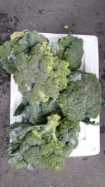High Quality Fresh Broccoli