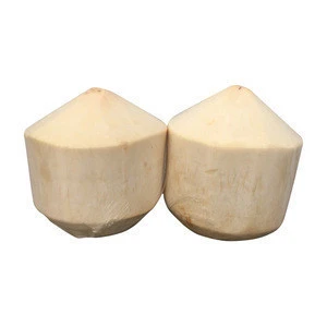 High Quality Fresh Young Coconut Export From Thailand