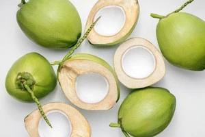 High Quality Fresh Young Coconut Export From Thailand