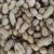Import High Quality Ground Nut Exporter Raw Shelled Fresh Peanuts from China