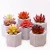 Import High Quality Mini Succulent Artificial Plant Cement Pot from China