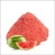 Import High Quality Water Melon Powder from India