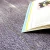 Import Home Carpet Belgium Viscose Rugs Indian Wool Viscose Carpets from China