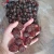 Import Honey Dates Dried Date Fruits in bulk Wholesale from China