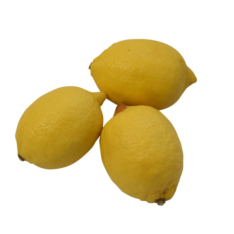 Hot sale cheap price fresh lemons from China