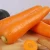 Import Hot Sale Cheap Seller Shandong Concentrate Red Carrot from China