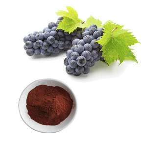 Hot sale natural 95% Proanthocyanidins/grape seed extract