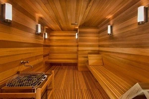Hot Sale Portable Home Sauna steam Sauna room in Different Sizes