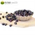 Import Hot Sale Private Label Freeze Dry Blueberries Type Food Freeze-dried Berries Fruits Powder Freeze Dried Blueberry from China