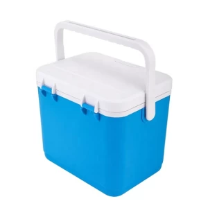 Hot Selling 4.5L Camping Picnic Electric Portable Mini Plastic Ice Warmer Cooler Boxes