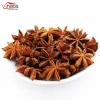Hot Selling Single Spices Herbs Condiment Herbal Medicine Spices and Herbs Star Anise Seed