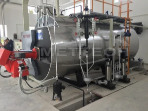 Industrial DO/LPG Fired Boiler High Quality and Efficiency Modern Design 2-6 tons/hr Full Ancillary Equipment