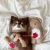 Import INS latest Korean cute bears plush toys pet interactive squeaky toys dog cat sleeping toys and accessories from China
