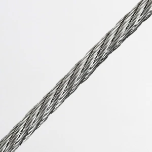 ISO9001 Stainless Steel 304/316 Supply High Quality Galvanized Steel Wire Rope 7*7