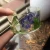 Import Jewelry for women Dried Cardiospermum halicacabum Flowers bracelet cuff from China