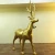 Import Large outdoor Christmas decoration animal sculpture deer and fiberglass statues for square-shopping mall-shop decoration from China