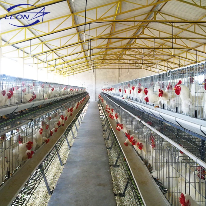 Leon series poultry cage system with whole equipment for livestock