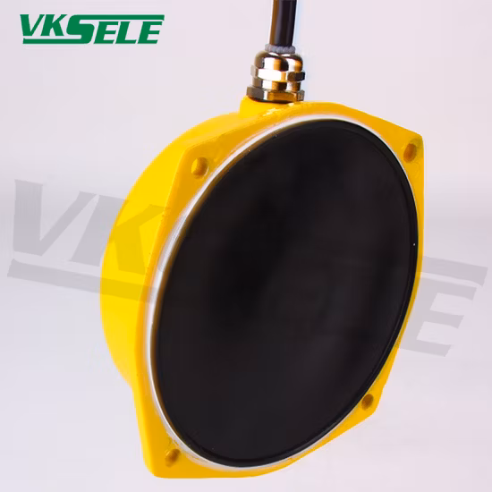 Import Lfb-II Stainless Steel Thin Film Level Meters Pure Resistance 24-380V from China