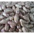 Import Light Speckled Kidney Beans sugar beans pinto beans for sale from China