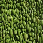 Lima beans