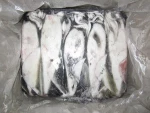 Loligo squid whole size 10/20, 20/40, 40/60, 60/80, 80/UP