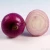 Import Low Price New Listing Fresh Nasik Onion from China