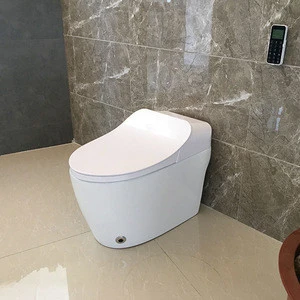 manufacture supply one piece siphonic intelligent toilet with wholesale price