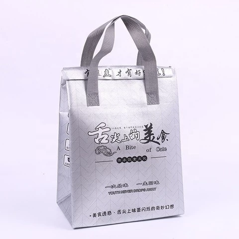 Manufacturer Decorative Latest Model Custom Logo Food Delivery Wholesale Insulated Ice Cooler Hand Bags