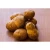 Import Mexico Grown POTATO WHITE Potatoes Robinson Fresh MOQ 50 LBS Quick Delivery in US from USA