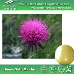 Milk thistle in herbal extract, milk thistle extract for stomach &liver healthcare products, milk thistle for crude medicine